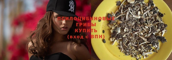 прущая мука Алзамай