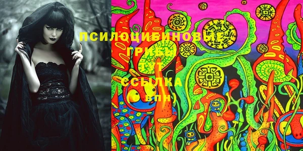 винт Алексин