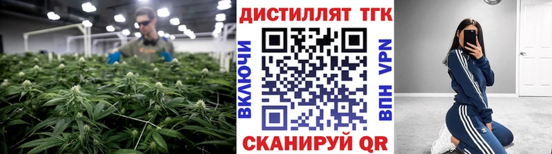 кракен как войти  Киржач  Дистиллят ТГК THC oil 